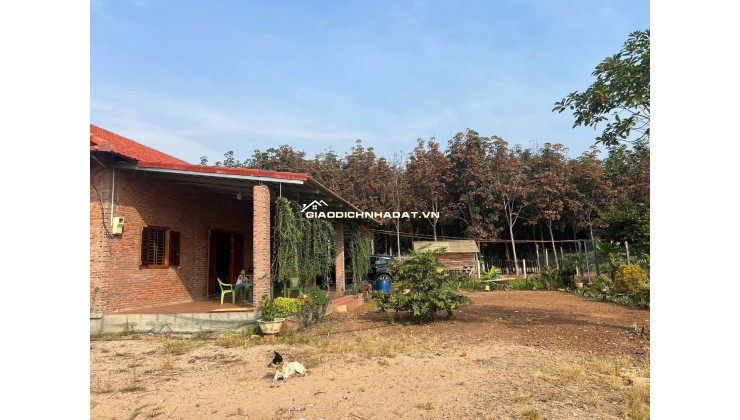 Kinh doanh thua lỗ bán nhanh nhà 2290m2 đất sổ riêng gần ngay khu công nghiệp đang hoạt động. Giá 380tr